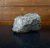 AIGUILLE VERTE (TYP I)